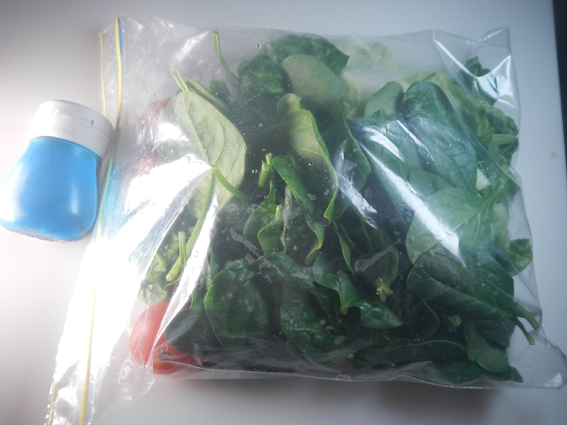 planefd_salad